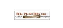 Real Palm Trees
